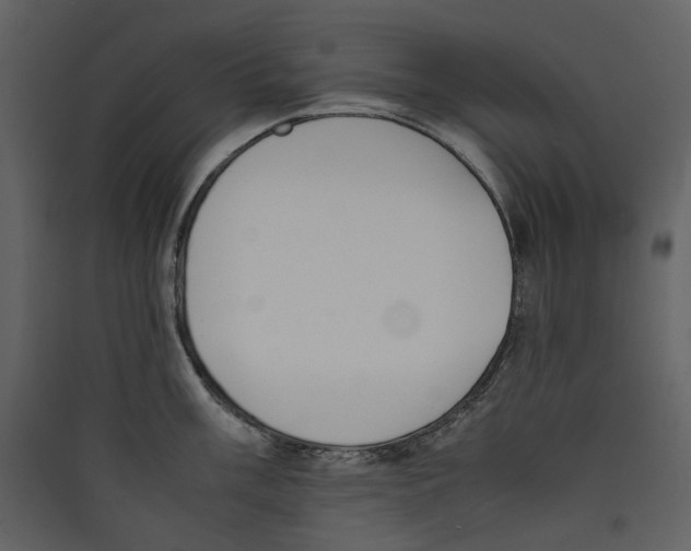 X0000089401003200707131736