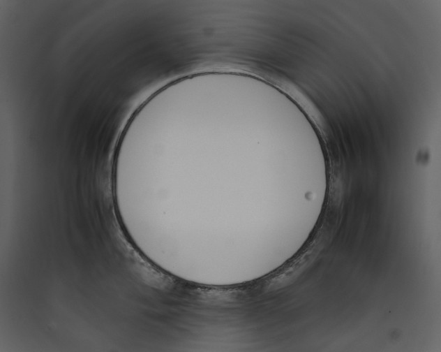 X0000089401004200707131736