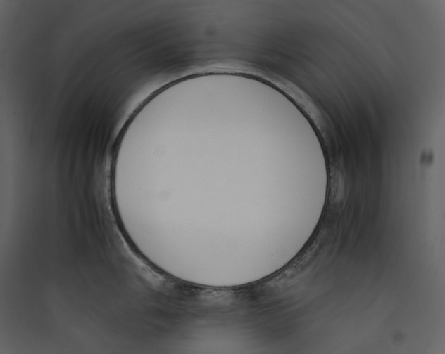 X0000089401006200707131736