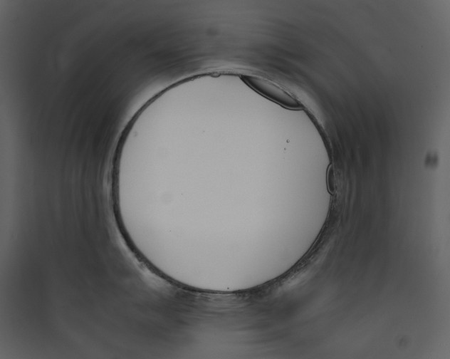 X0000089401007200707131736