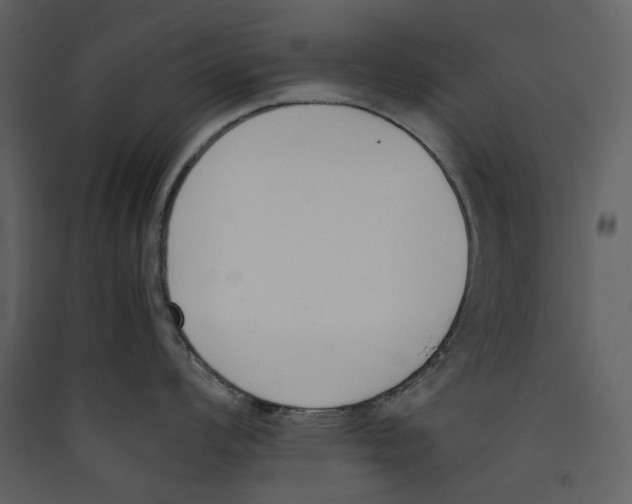 X0000089401008200707131736