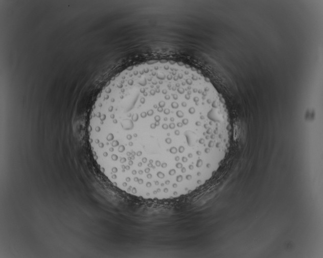 X0000089401011200707131735