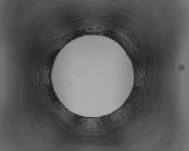 X0000089401013200707131735