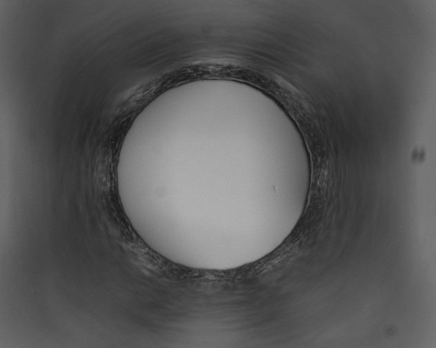 X0000089401014200707131735