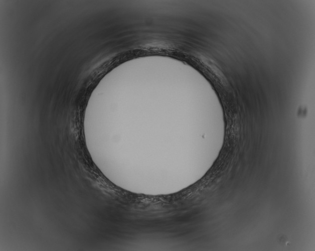 X0000089401015200707131735
