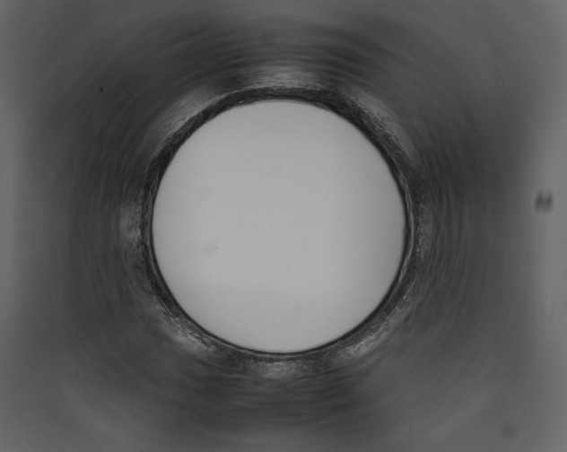 X0000089401017200707131736