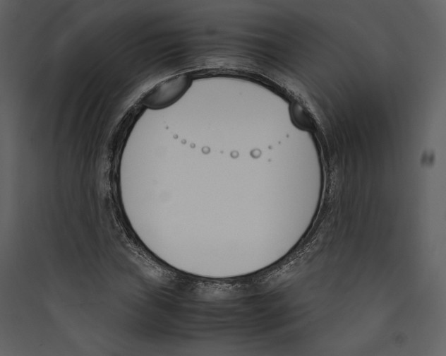 X0000089401019200707131736