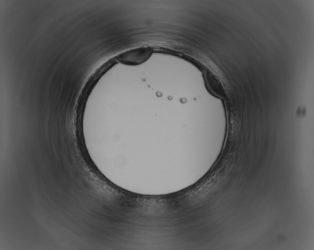 X0000089401020200707131736