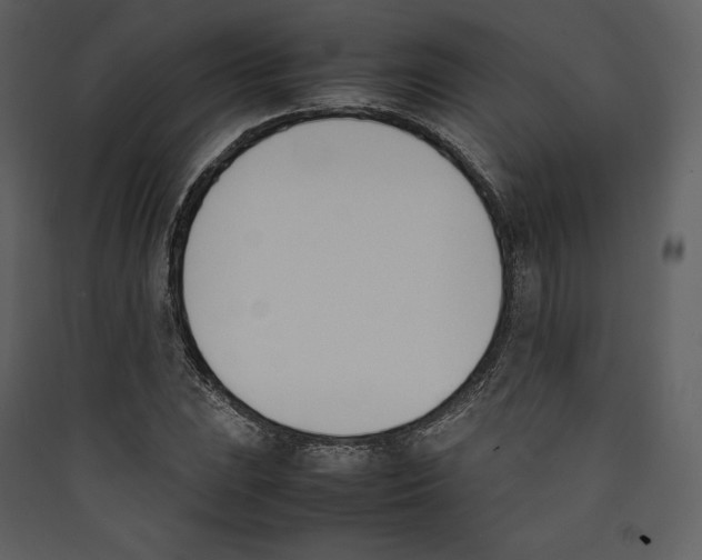 X0000089401023200707131736