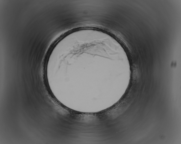 X0000089401024200707131736