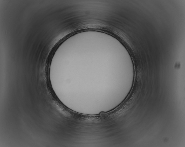 X0000089401026200707131736