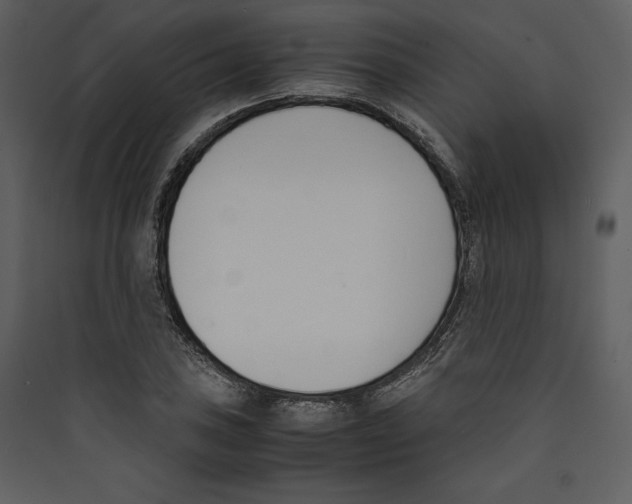 X0000089401027200707131736