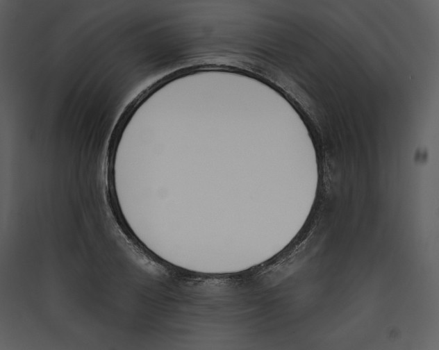X0000089401028200707131736