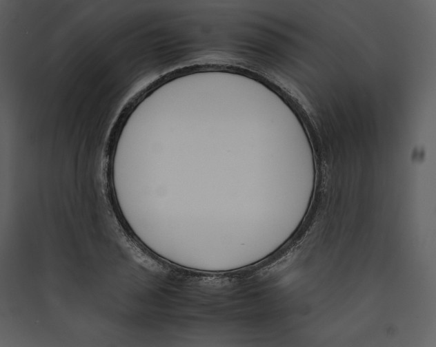 X0000089401029200707131736