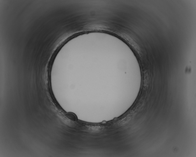 X0000089401031200707131736