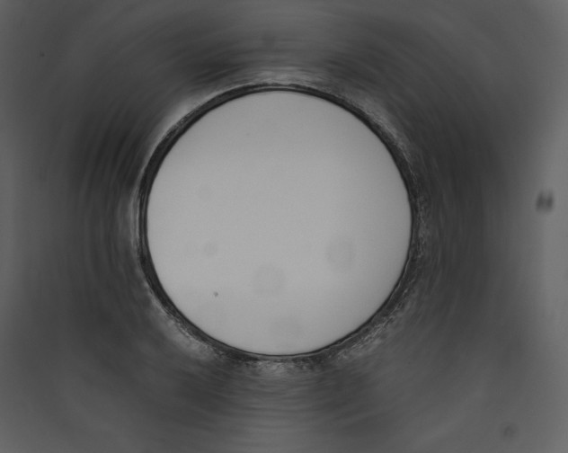X0000089401032200707131736