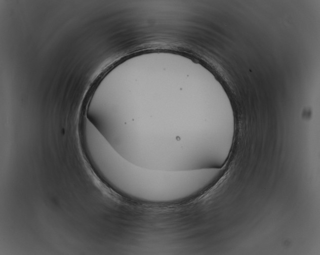 X0000089401034200707131736