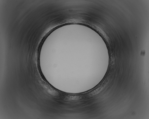 X0000089401035200707131736