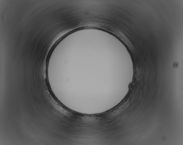 X0000089401036200707131736