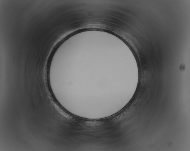 X0000089401037200707131736