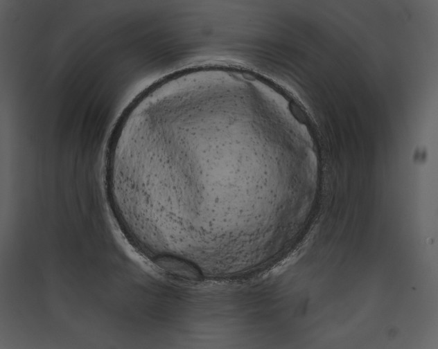 X0000089401038200707131736
