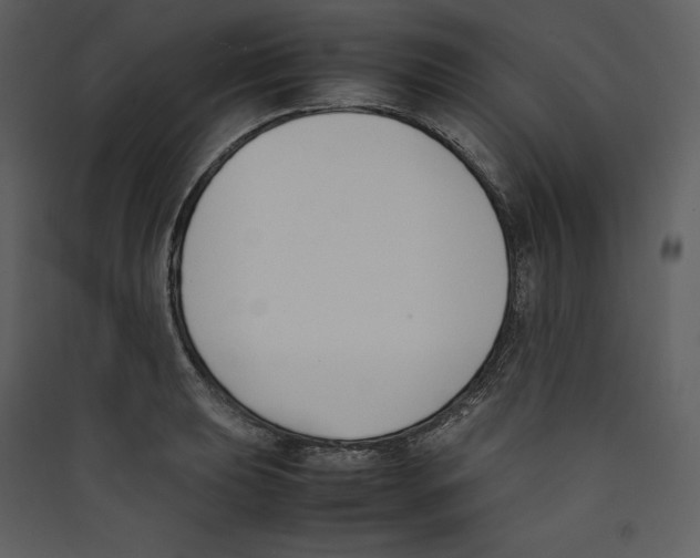 X0000089401039200707131736