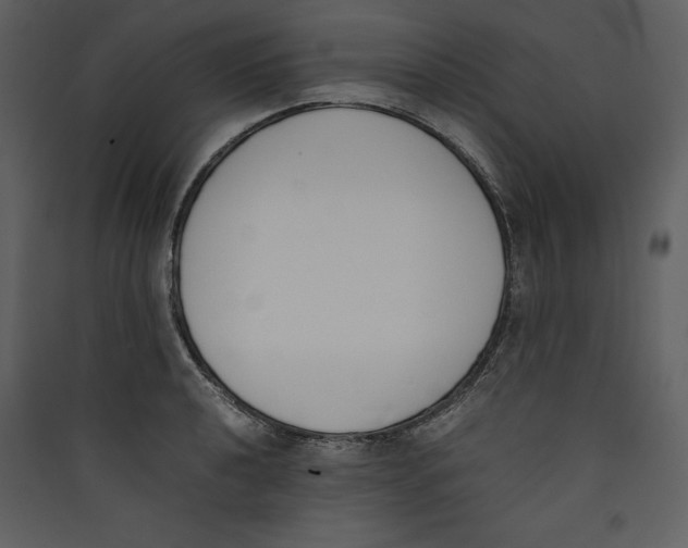 X0000089401040200707131736