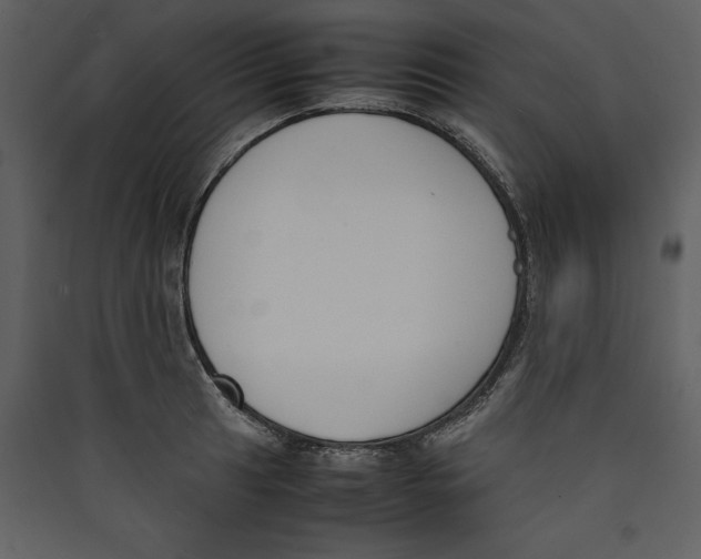 X0000089401041200707131736