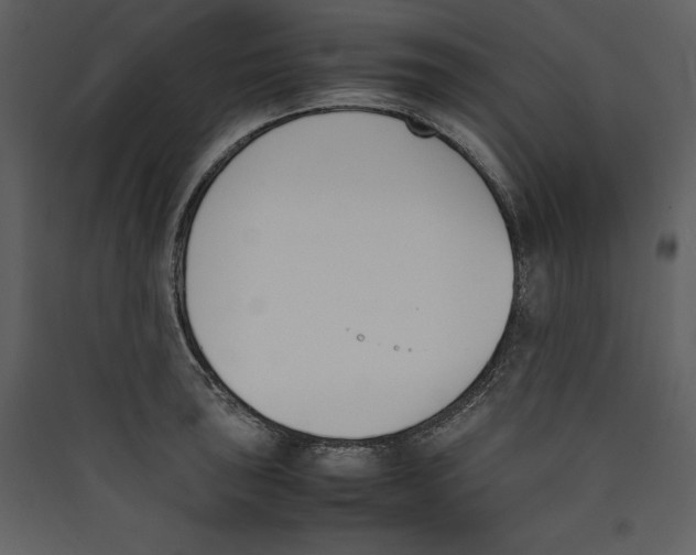 X0000089401043200707131736