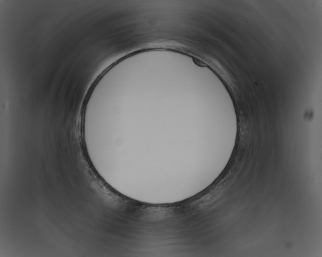 X0000089401044200707131736