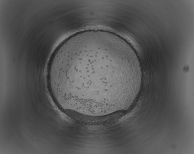 X0000089401046200707131736