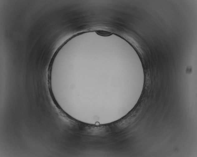 X0000089401047200707131736