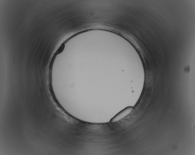 X0000089401048200707131736
