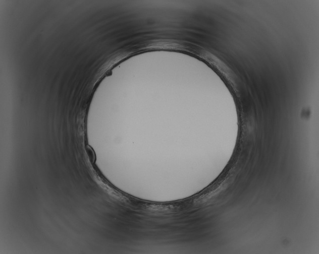 X0000089401049200707131736
