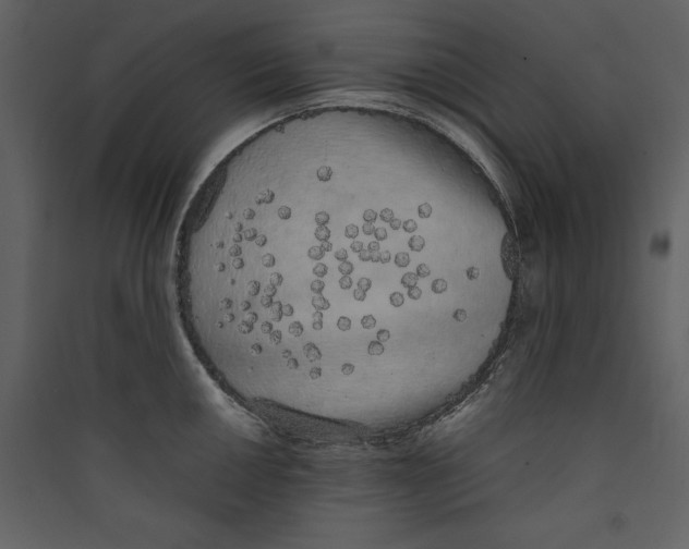 X0000089401050200707131736