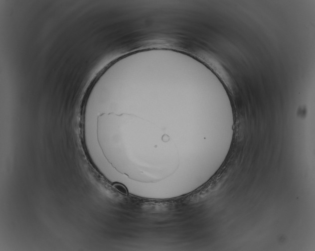 X0000089401051200707131736