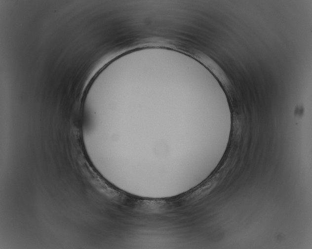X0000089401052200707131736