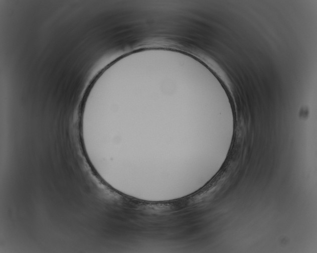 X0000089401053200707131736