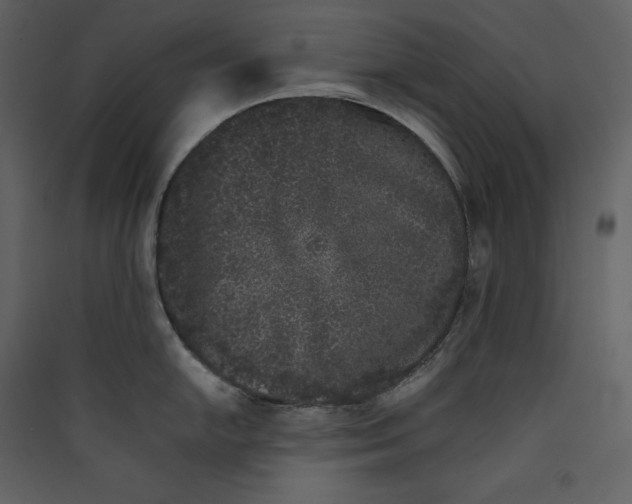 X0000089401054200707131736