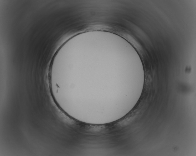 X0000089401055200707131736