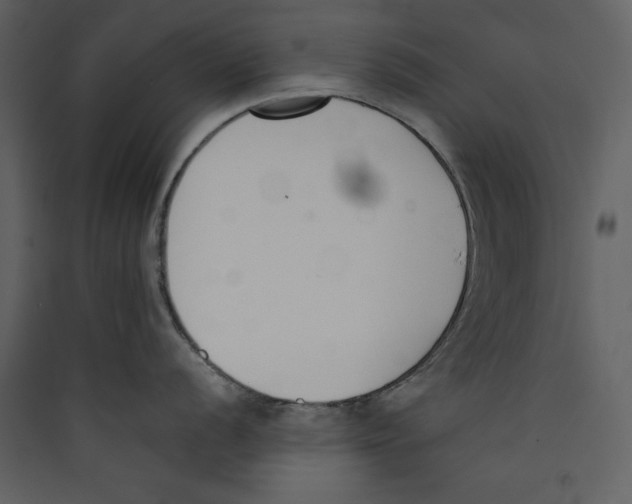 X0000089401056200707131736