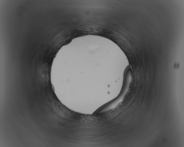 X0000089401058200707131735