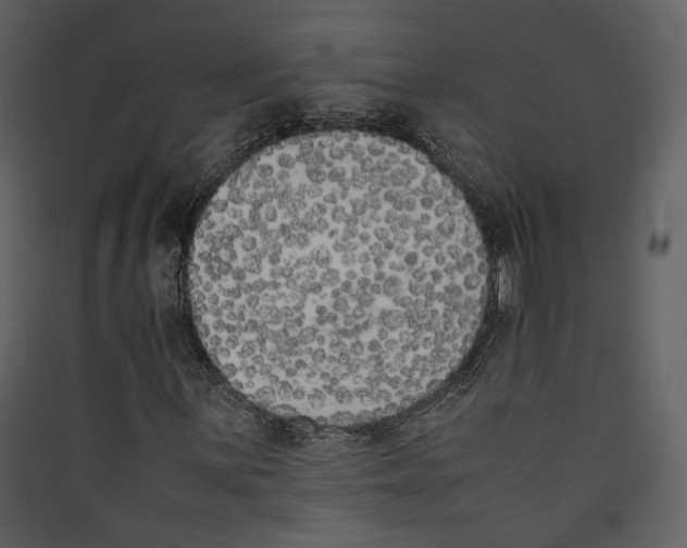 X0000089401059200707131735