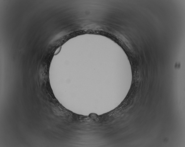 X0000089401063200707131735