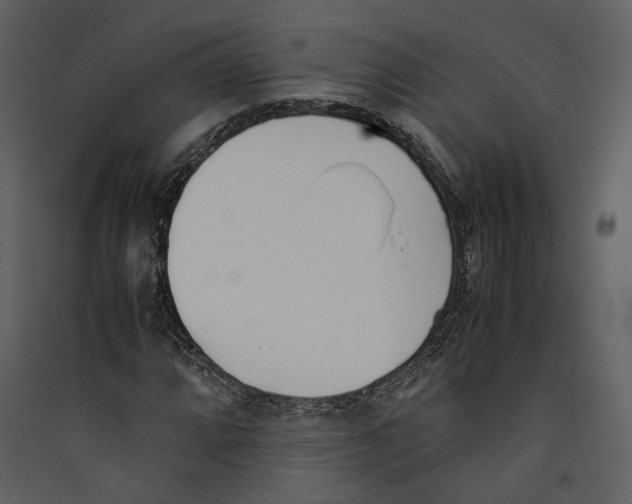 X0000089401064200707131735