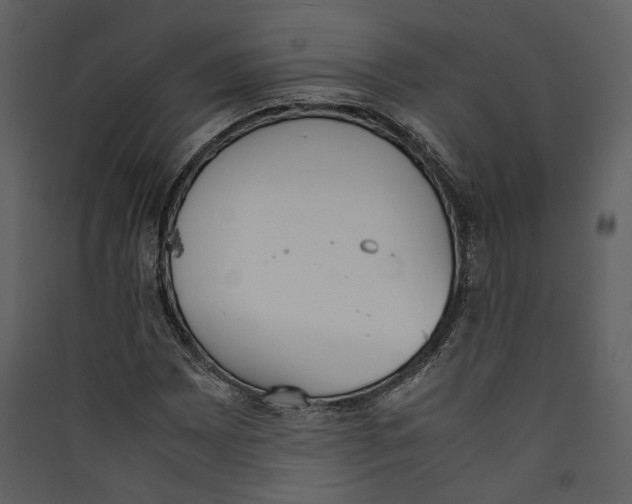 X0000089401065200707131735