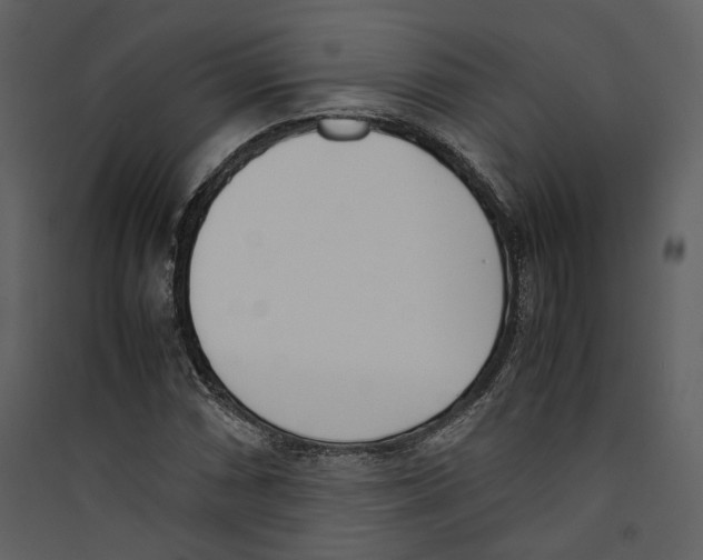 X0000089401066200707131735