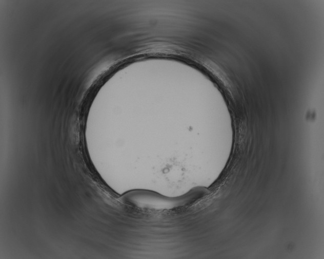 X0000089401067200707131735