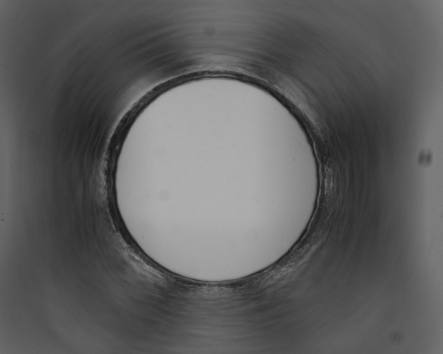 X0000089401068200707131735