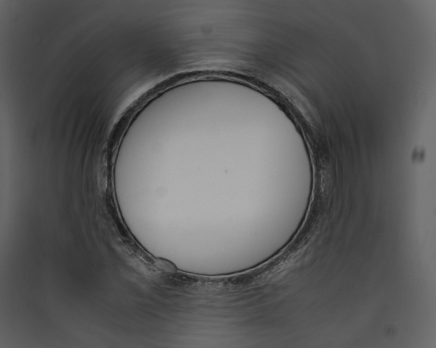 X0000089401069200707131735